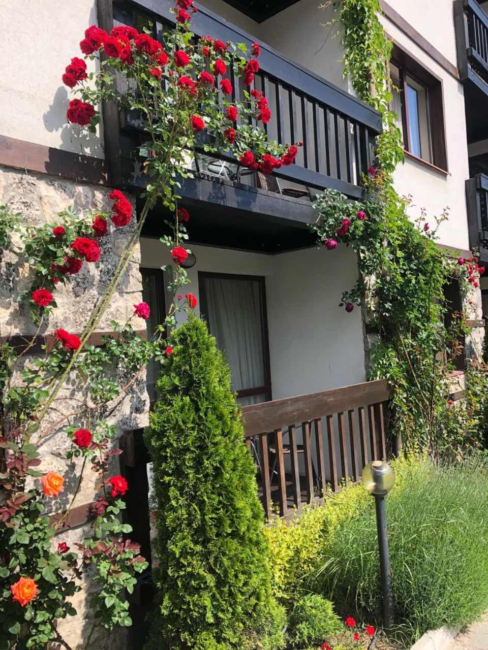 Hotel Zara Bansko Exterior photo